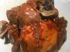 -寻宝记绍兴菜(状元店)