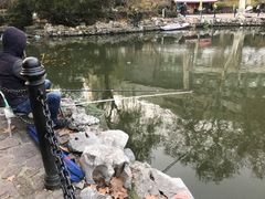 -鲁迅公园-垂钓中心