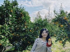 -销魂美蛙鱼头火锅(上海首店)