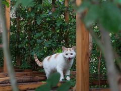 -西安电影制片厂