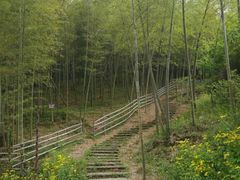 -宁波浙东大竹海景区