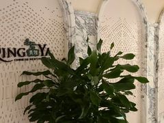 -青雅中餐厅(大连金石滩绿发希尔顿度假酒店)