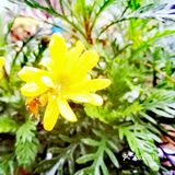 定能在草木闲情的光阴里 读四季如诗 寻花开花落
