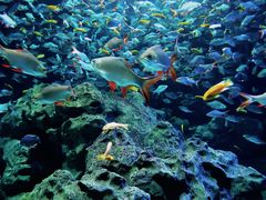 -成都浩海立方海洋公园