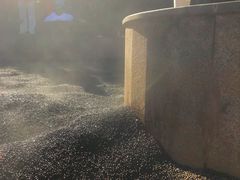 -三江森林温泉度假区