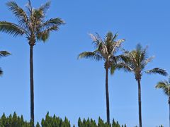 -临高角旅游区