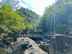 -石台牯牛降景区