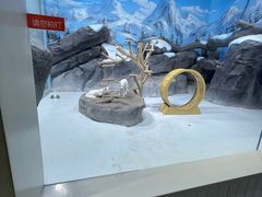 -海合安青岛极地海洋公园