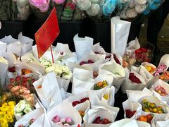 -溪岸路花鸟市场