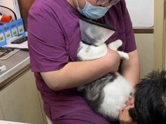 -宠颐生宠物医院·异宠猫科内科·诊疗中心宠巢店