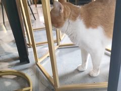 -弗劳尔花艺坊(龙涛店)