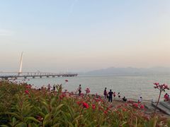 -深圳湾公园(南山区)