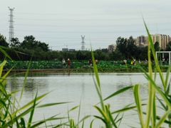 -三圣花乡旅游区