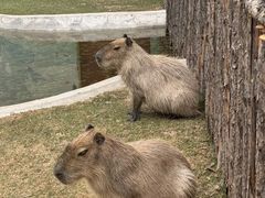 -鄂尔多斯野生动物园