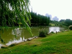 -九里河湿地公园