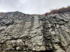 -黄埔油麻山森林公园