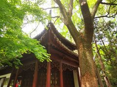 -汇龙潭