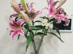 -达美乐比萨(留仙大道店)