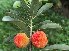 -海底捞火锅(方圆荟店)