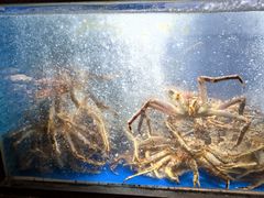 -徐记海鲜(曲江南湖店)