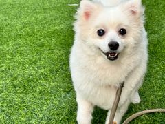 -爱侣宠医·鹦鹉专科·小型哺乳类·异宠专科(灵石路店)