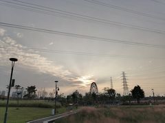 -王借岗森林公园