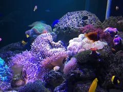 -邯郸海洋世界