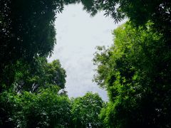 -成都杜甫草堂博物馆