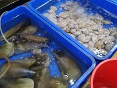 -QQ海鲜餐厅