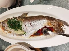 -新雅粤菜馆(南京东路店)