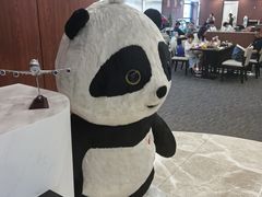 -浦东机场国航头等贵宾室