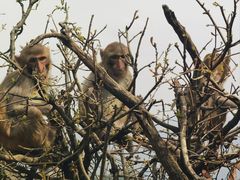 -重庆云阳龙缸景区