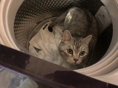 -美联众合动物医院·24h京西诊疗中心