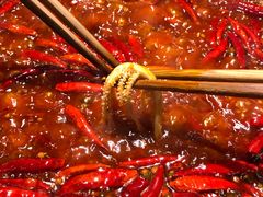 -蜀大侠火锅(寰球文化地标·总府店)