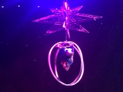 -珠海横琴长隆《卡卡虎奇遇记》