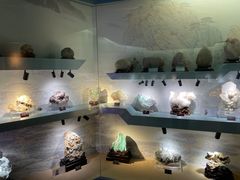 -甘肃地质博物馆