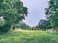 -青岛德国总督楼旧址博物馆