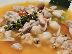鲜花椒泡菜煮牛蛙-梧桐