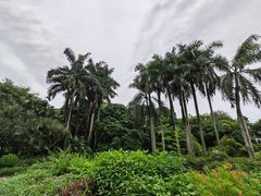 -荔枝公园(福田区)