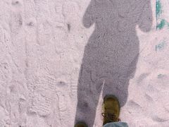 -苏州太湖西山岛开心农场
