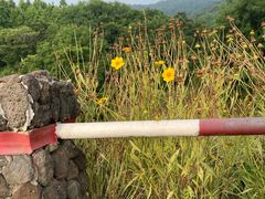 -南京市江宁方山