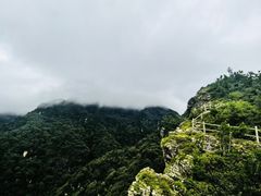 -牛背梁国家森林公园