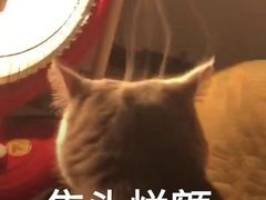 -星巴克(长沙桃子湖店)