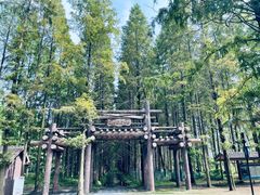 -黄海国家森林公园