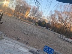 -玲珑塔公园