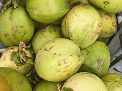 -创味·民间海南菜·非遗藤桥排骨(藤桥·免税城店)