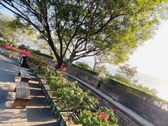 -胡里山炮台