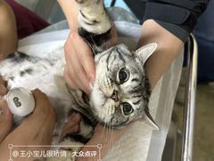 -美联众合动物医院·24h转诊中心