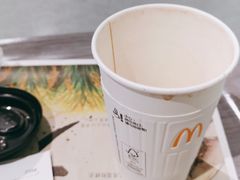 -麦当劳(北京大兴机场二层国内到达(安检外)店)