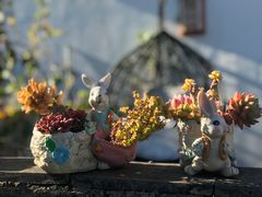 -浔岚云舍mist静谧观景美宿(丽江古城店)